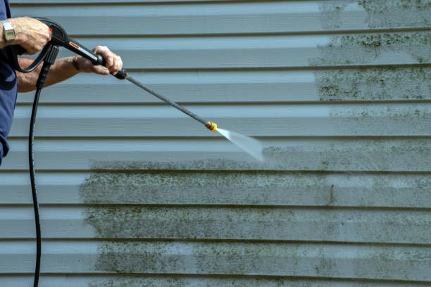 Best House Exterior Washing  in Mount Holly Springs, PA